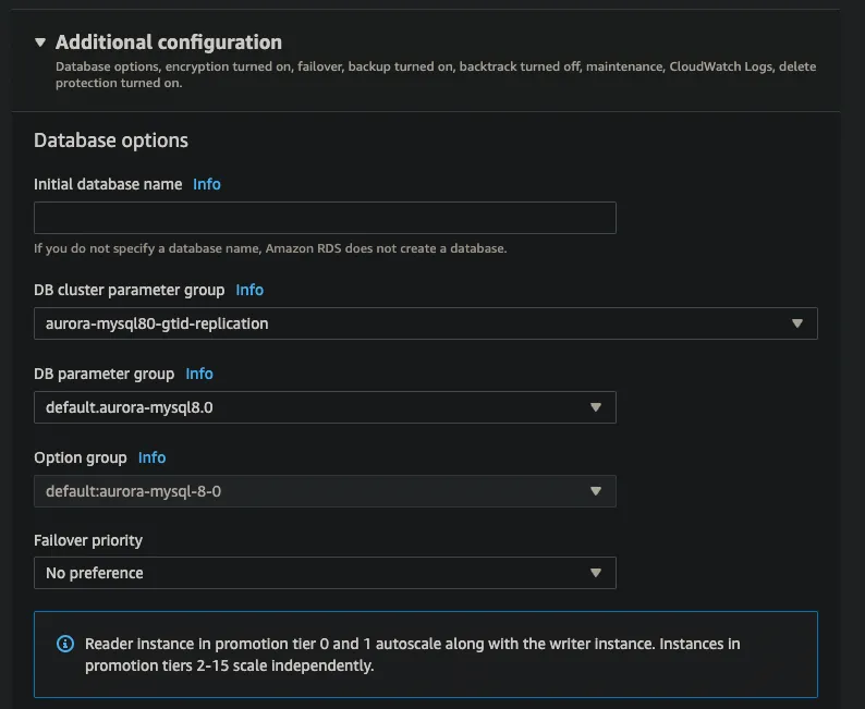 Launch RDS DB additional options