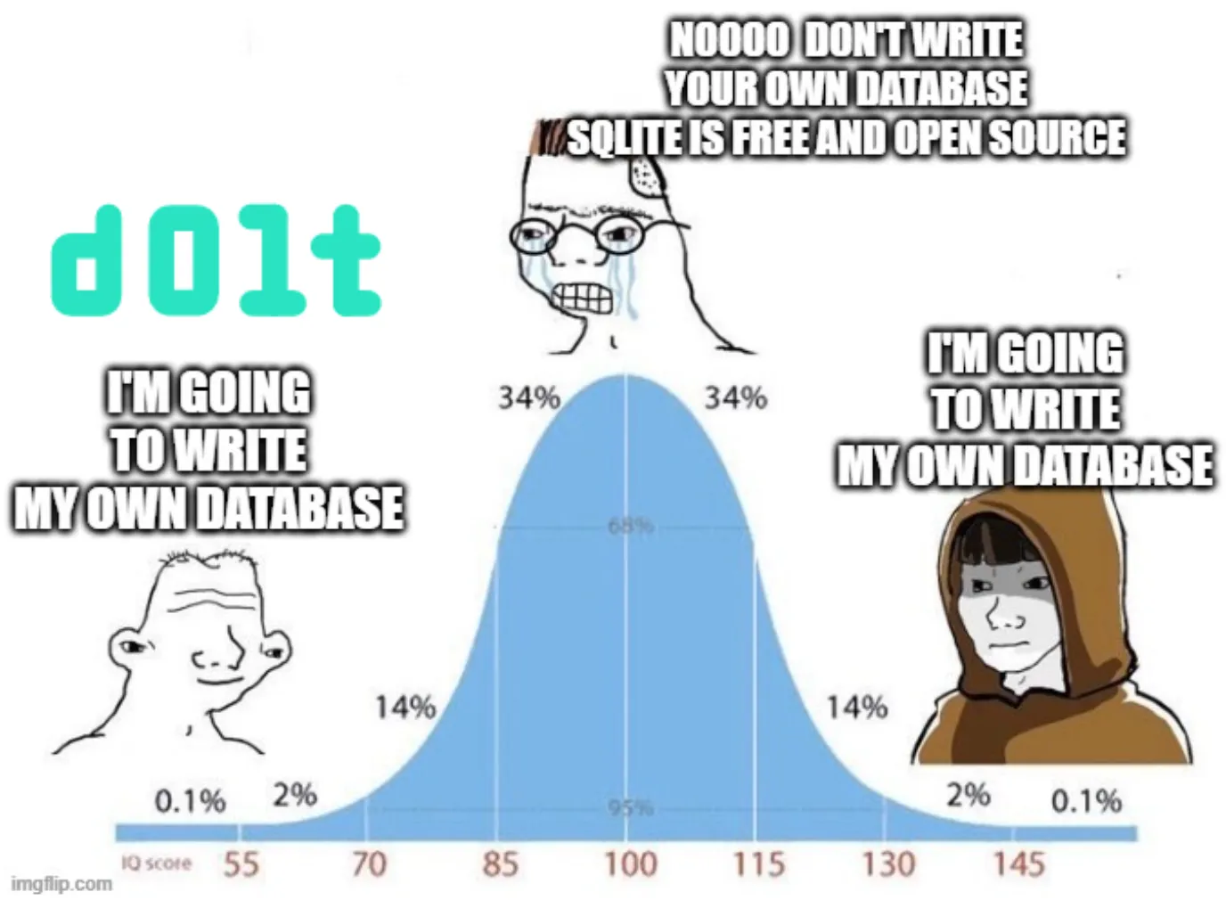 I&#x27;m going to write my own database