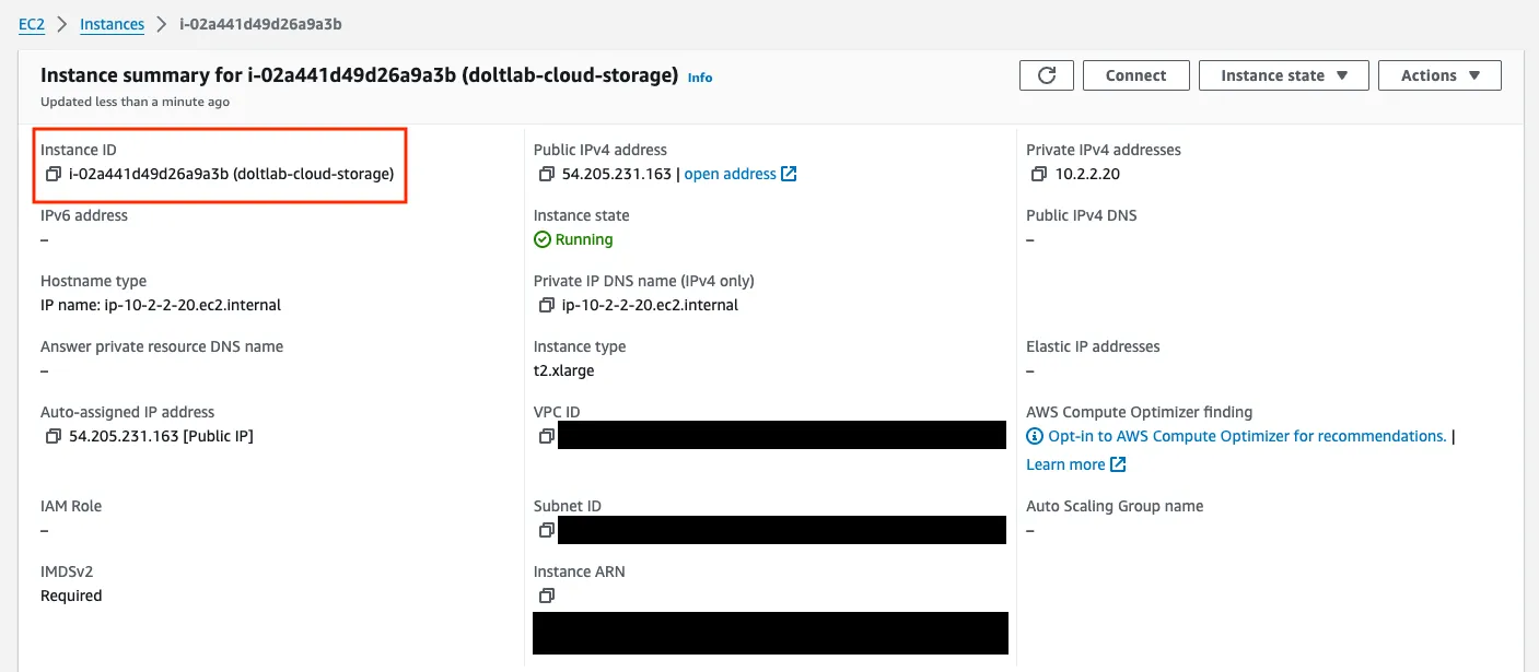 Get instance id