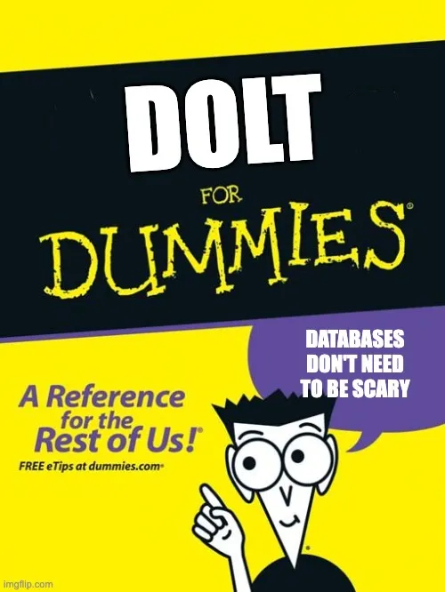 For Dummies