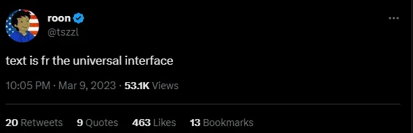 text is the universal interface