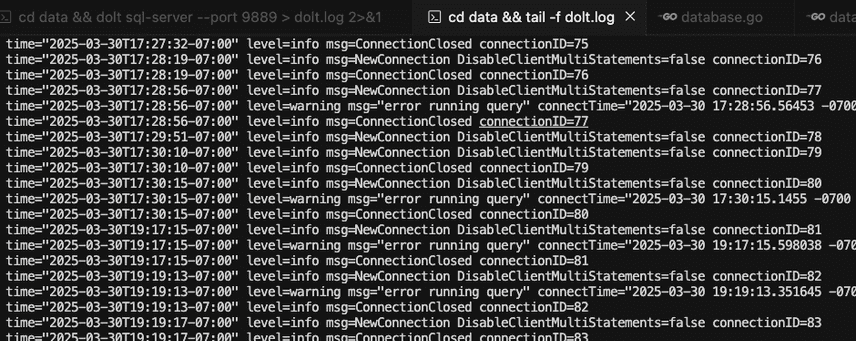 Log File