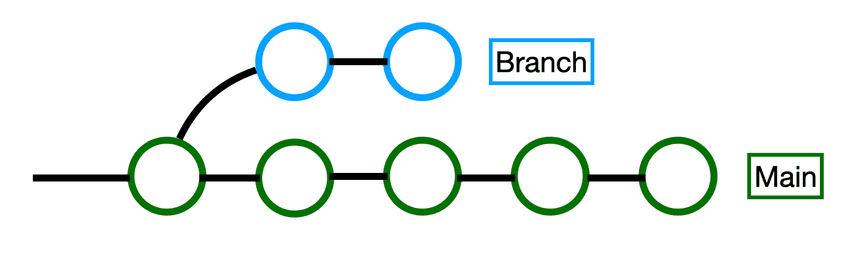 branches