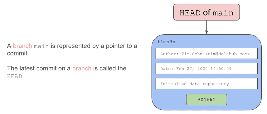 init commit on main