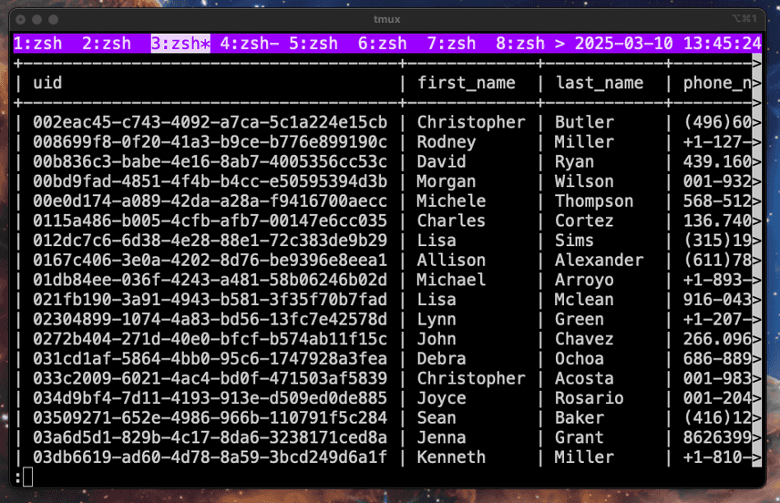 Paged output