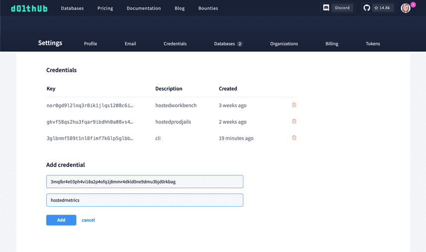 DoltHub credentials settings