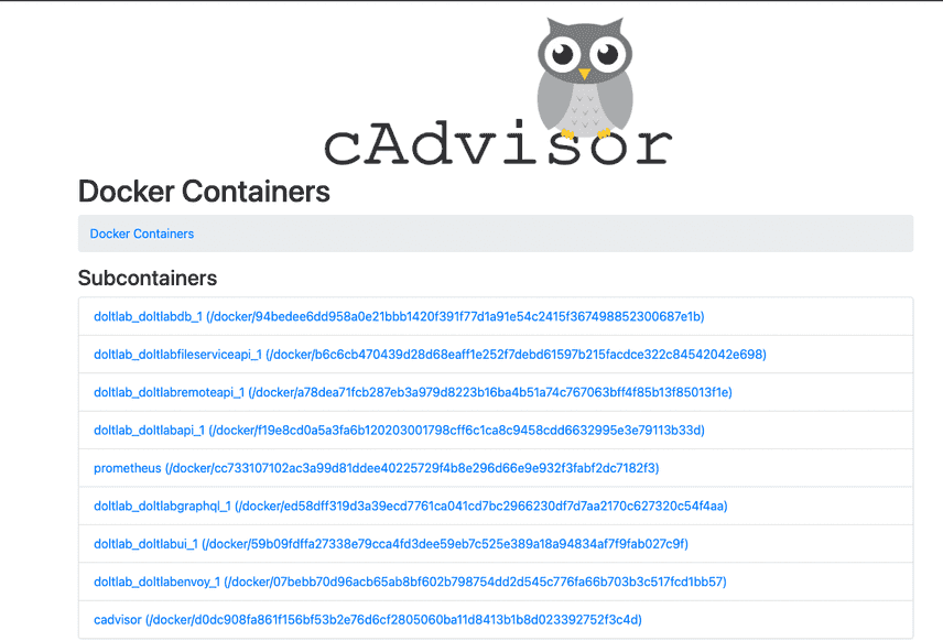 cadvisor docker container list